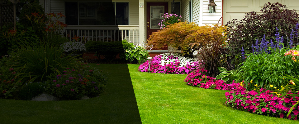 Parma Landscapers